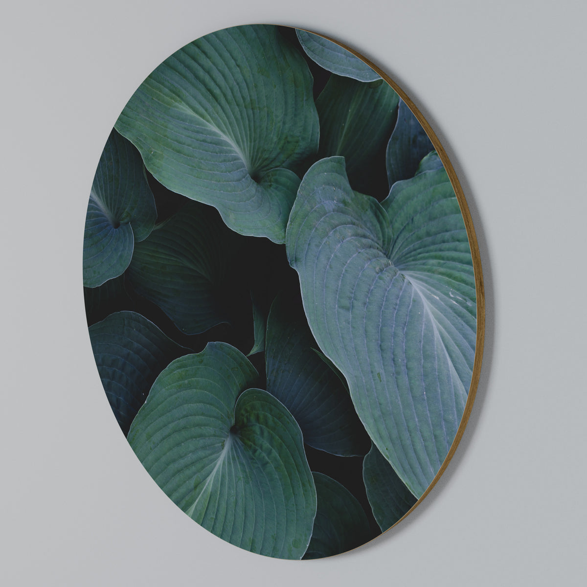 ENCHANTED FOLIAGE DANCE Arte de Parede Redonda