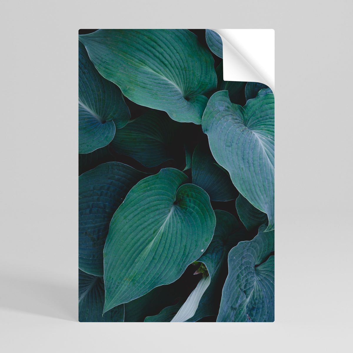 ENCHANTED FOLIAGE DANCE Póster Autocolante Vertical