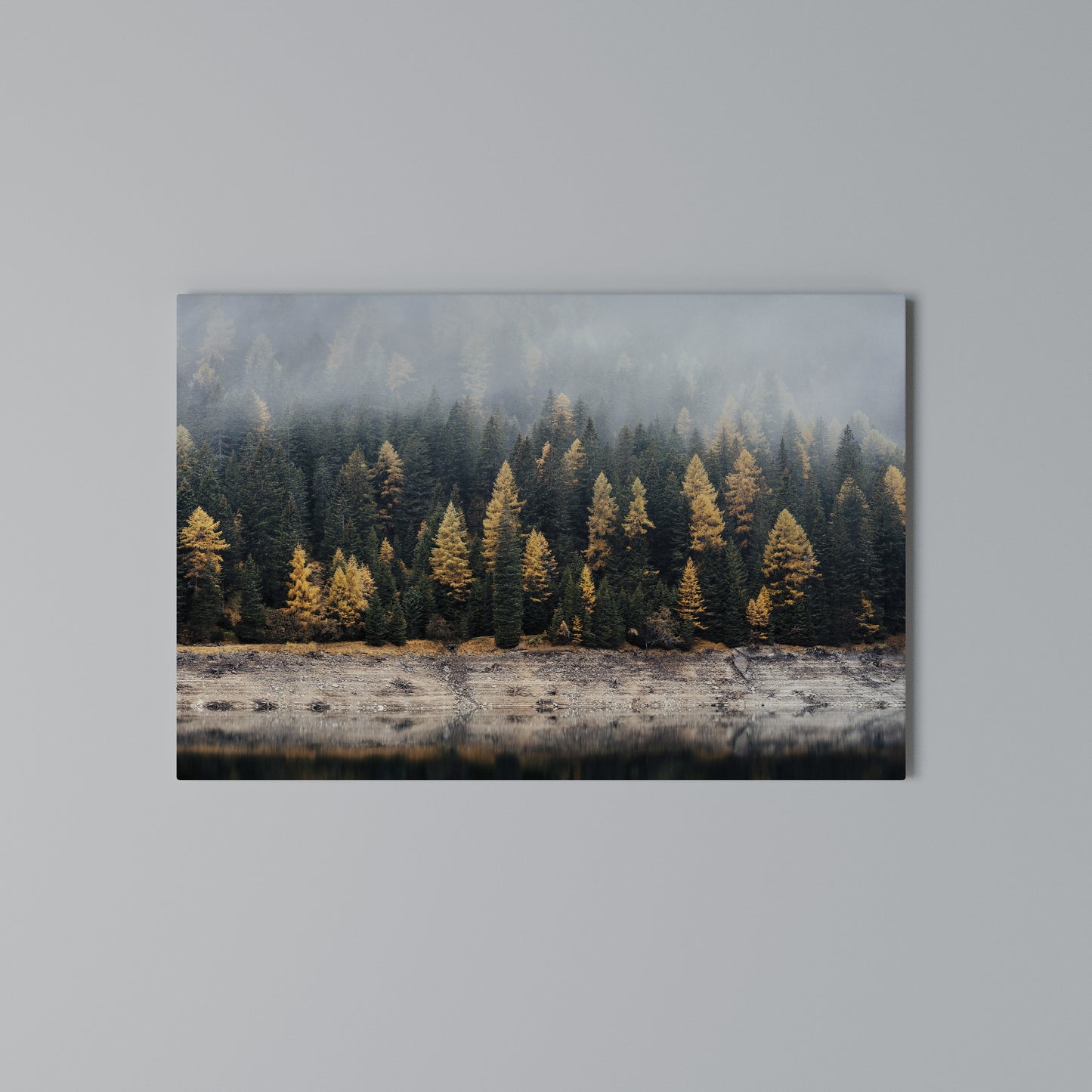 GOLDEN TREES IN FOG Horizontal Canvas Print
