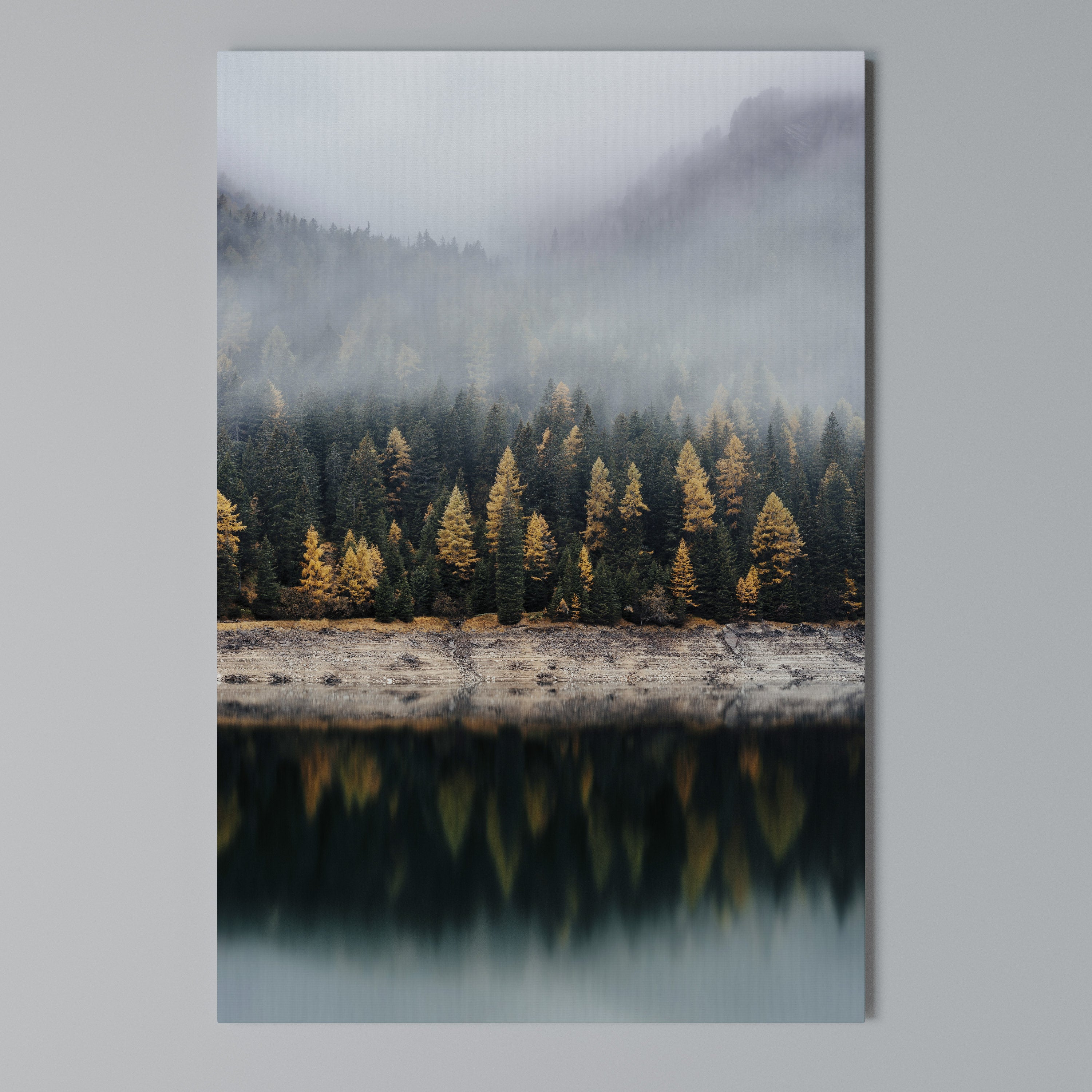 GOLDEN TREES IN FOG Quadro em tela vertical