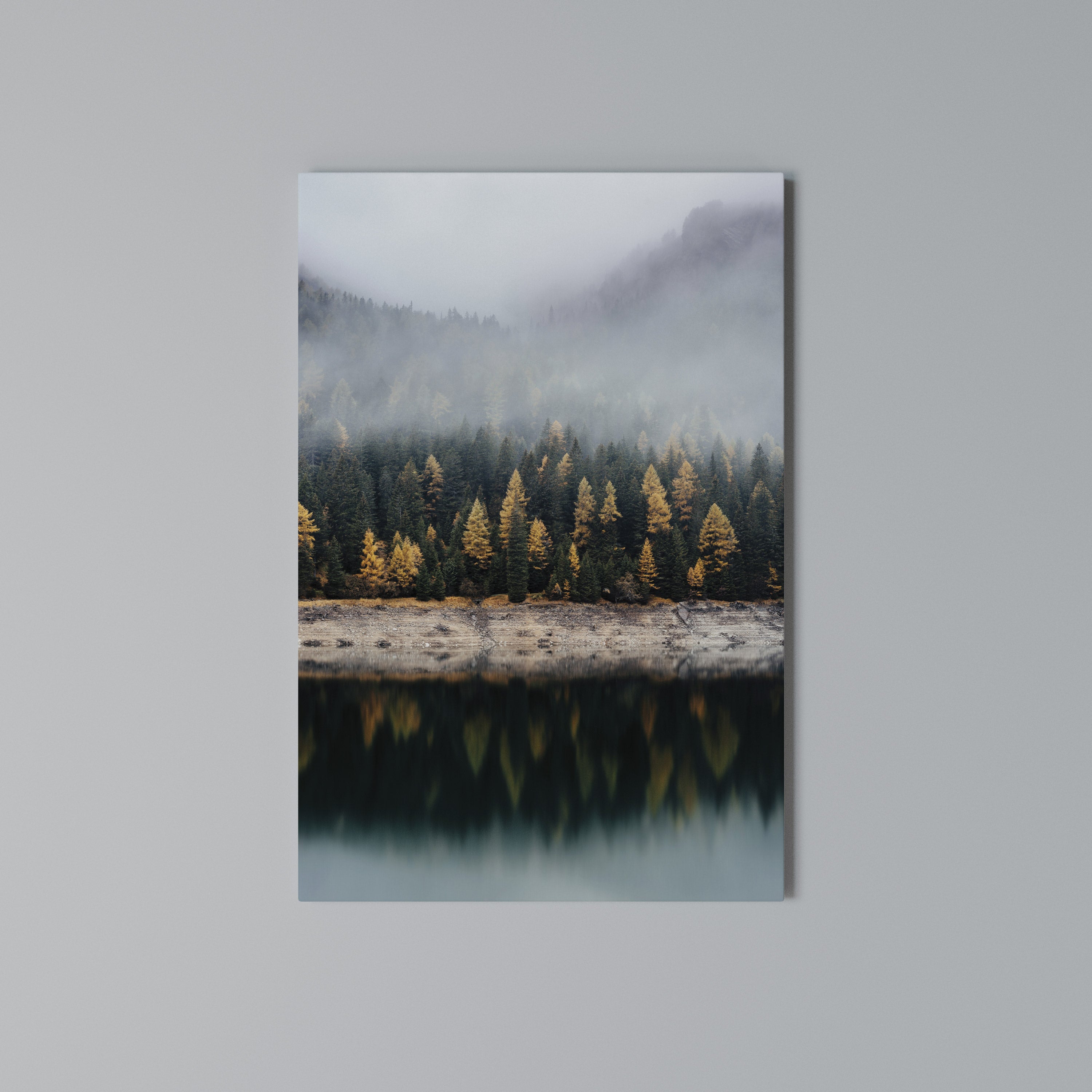 GOLDEN TREES IN FOG Quadro em tela vertical