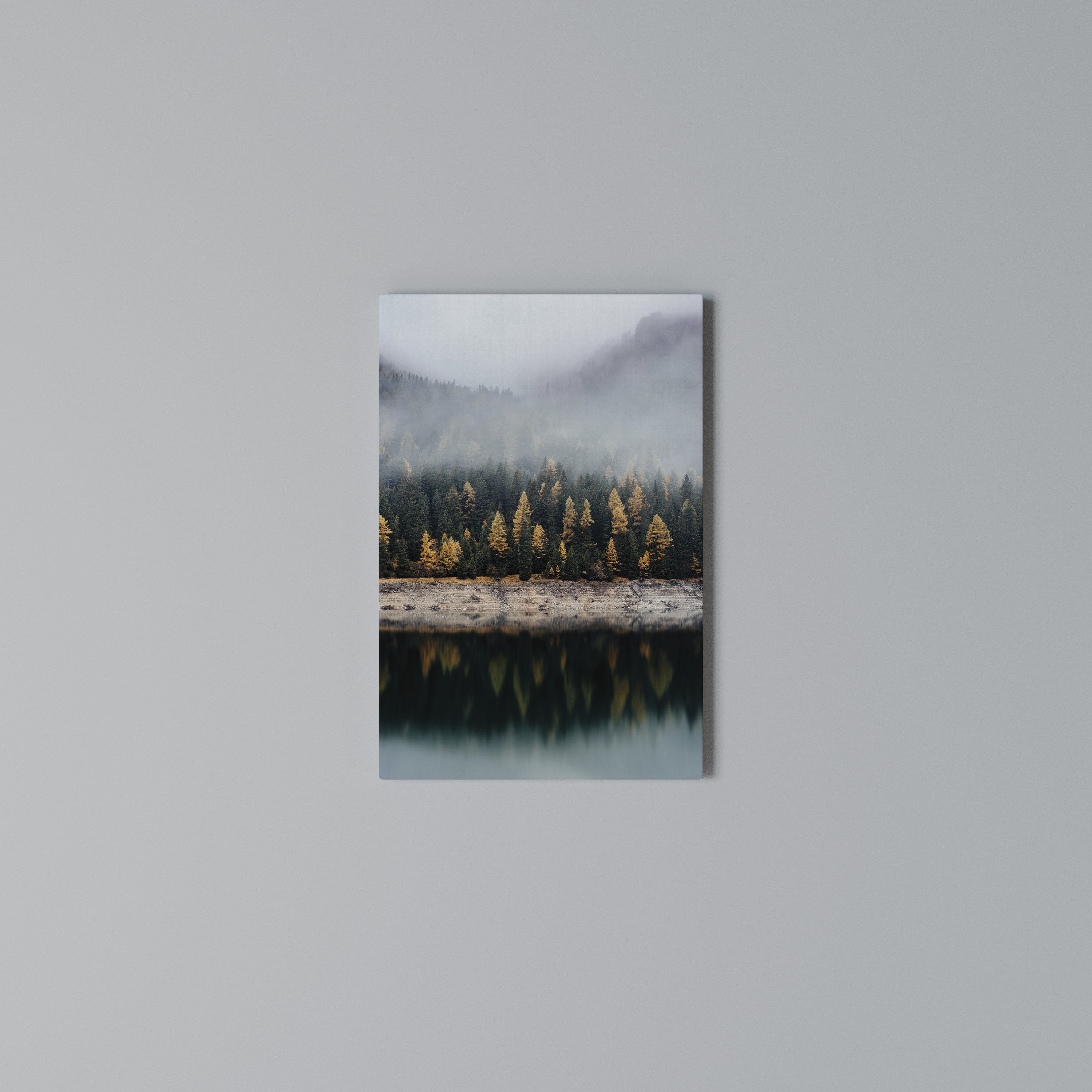 GOLDEN TREES IN FOG Quadro em tela vertical