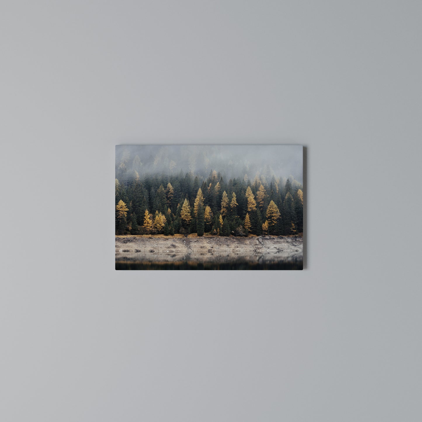 GOLDEN TREES IN FOG Horizontal Canvas Print