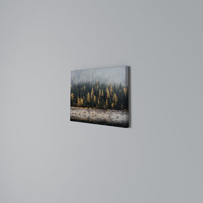 GOLDEN TREES IN FOG Horizontal Canvas Print