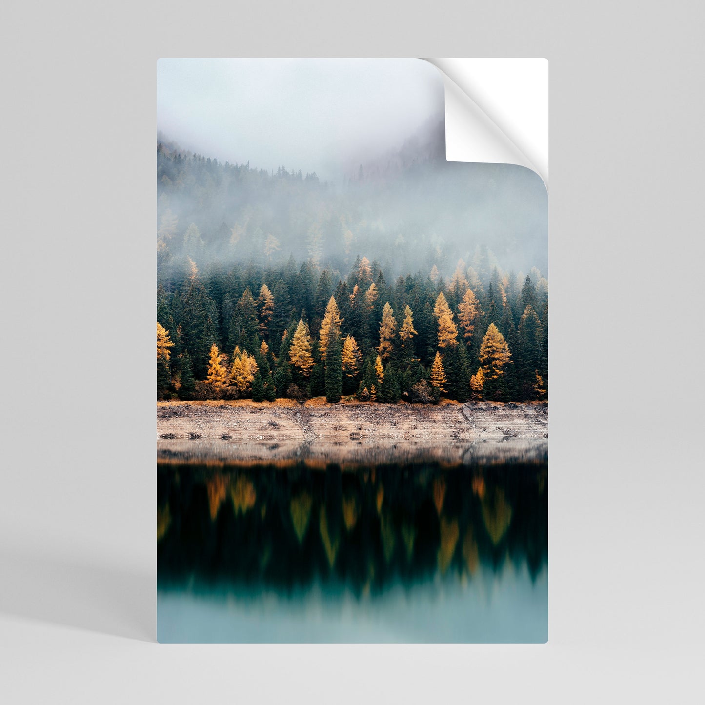 GOLDEN TREES IN FOG Póster Autocolante Vertical