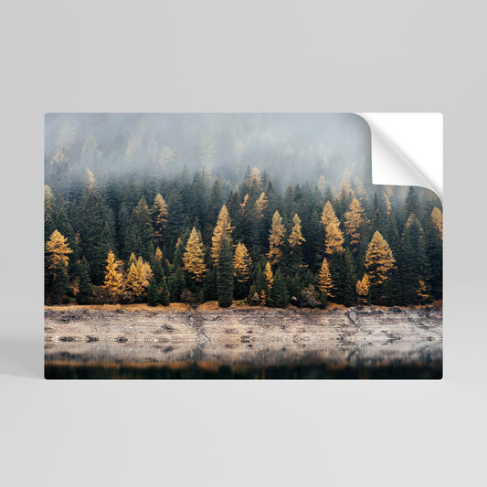 GOLDEN TREES IN FOG Póster Autocolante Horizontal