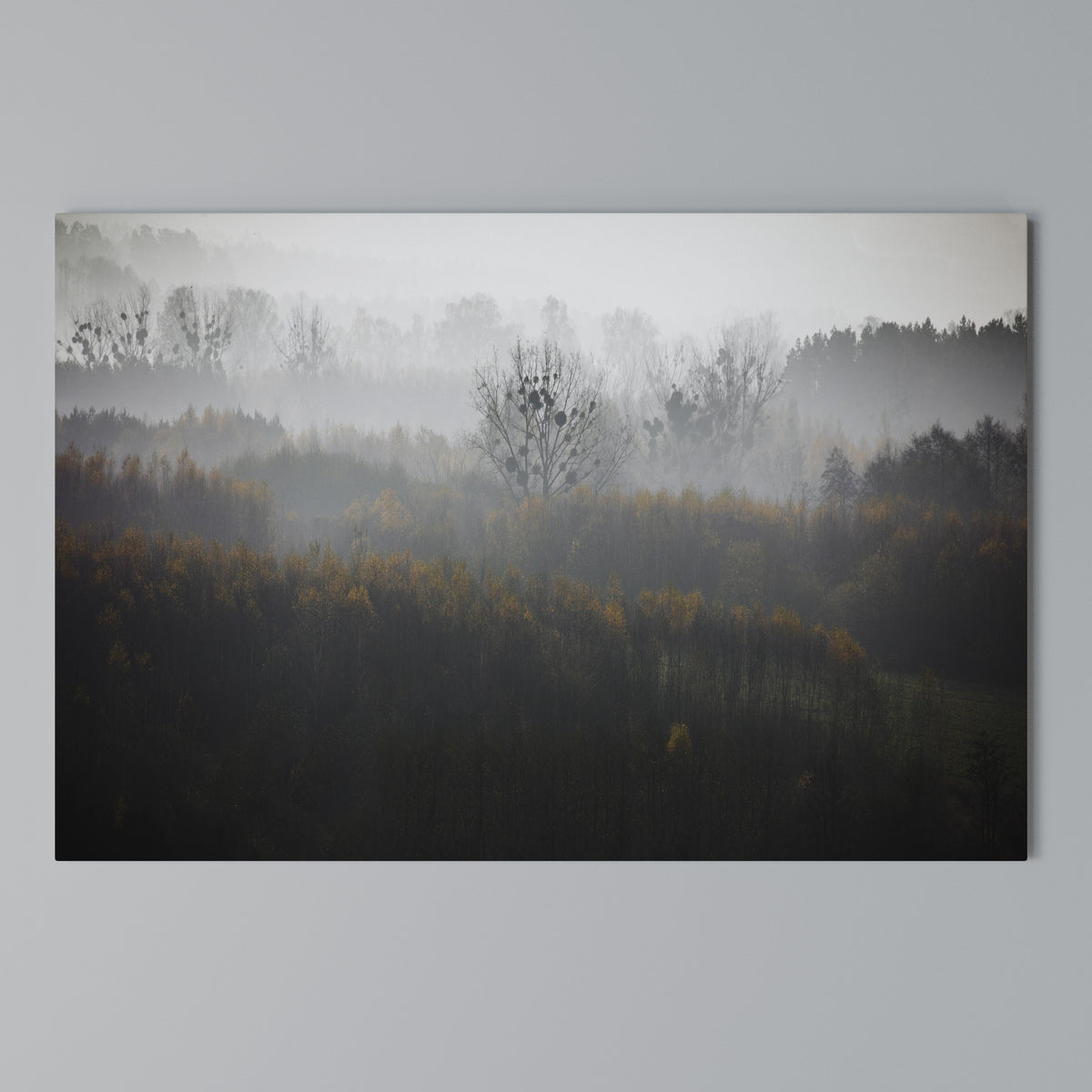 AUTUMNAL HAZE Horizontal Canvas Print