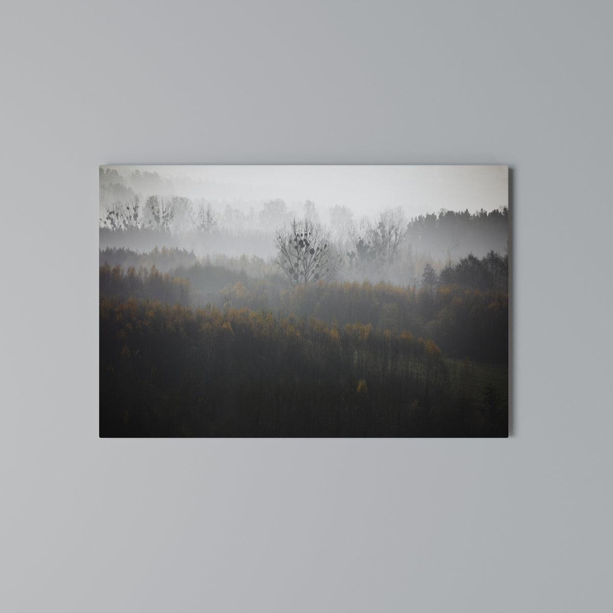 AUTUMNAL HAZE Horizontal Canvas Print