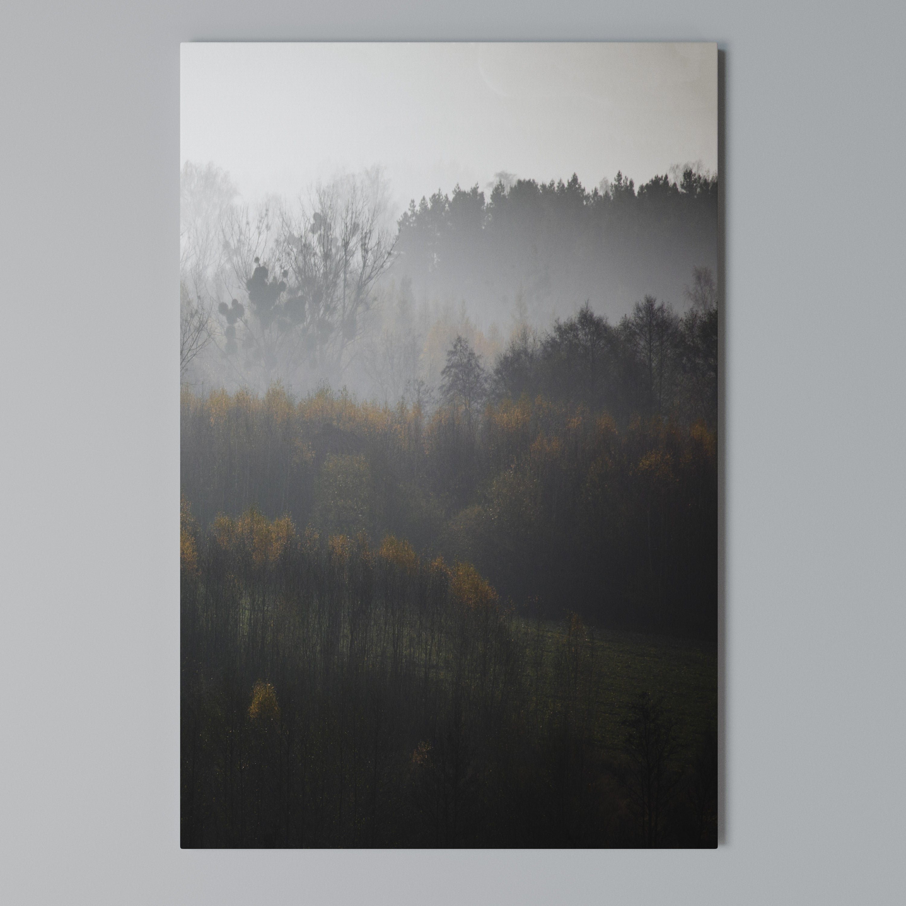AUTUMNAL HAZE Quadro em tela vertical
