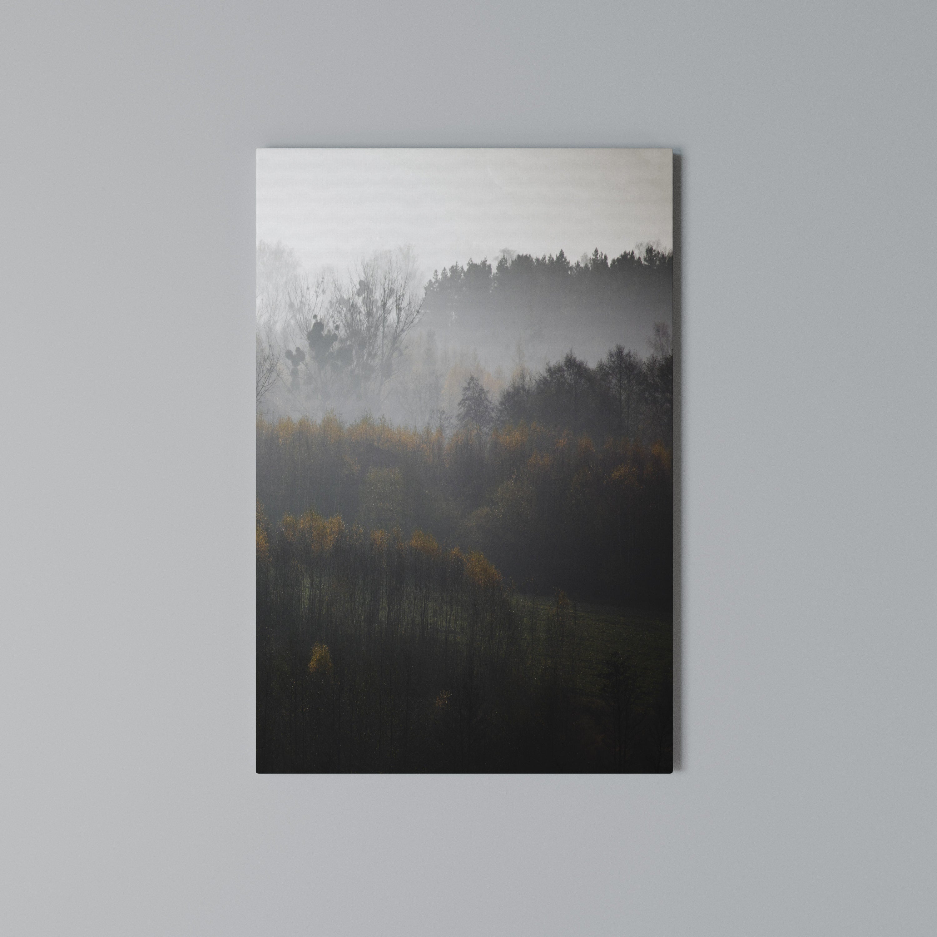 AUTUMNAL HAZE Quadro em tela vertical