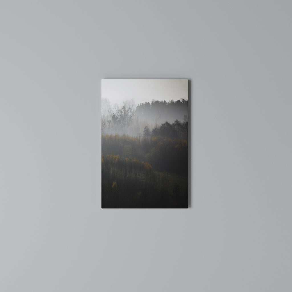 AUTUMNAL HAZE Quadro em tela vertical