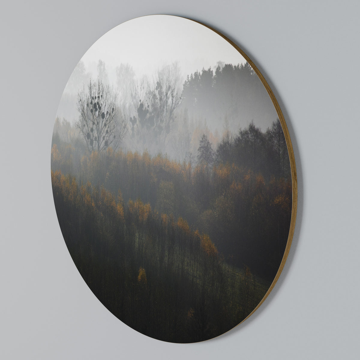 AUTUMNAL HAZE Arte de Parede Redonda