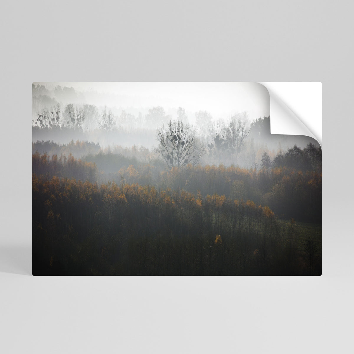 AUTUMNAL HAZE Póster Autocolante Horizontal