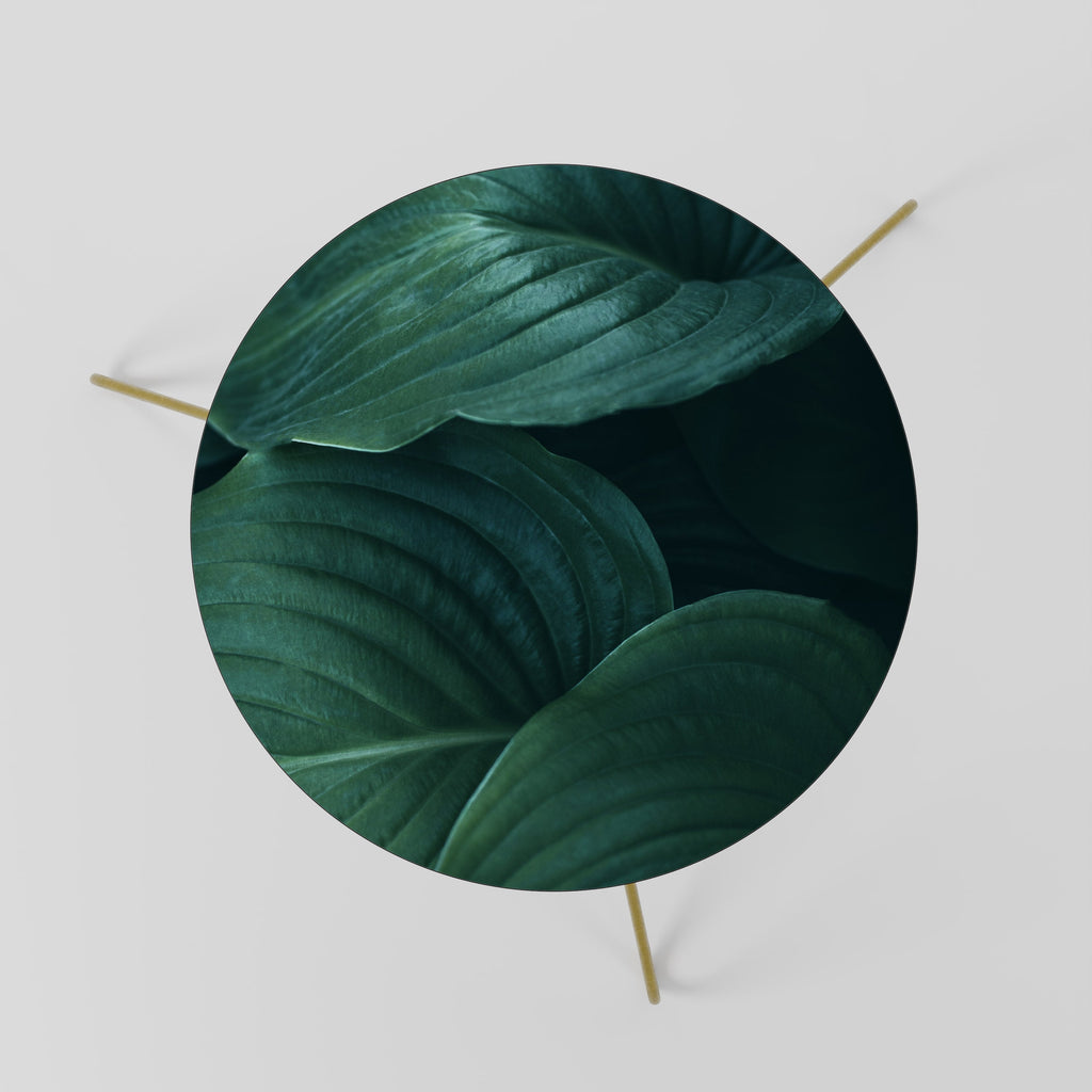 SUBTLE BOTANICAL HUES Mesa de Centro 60