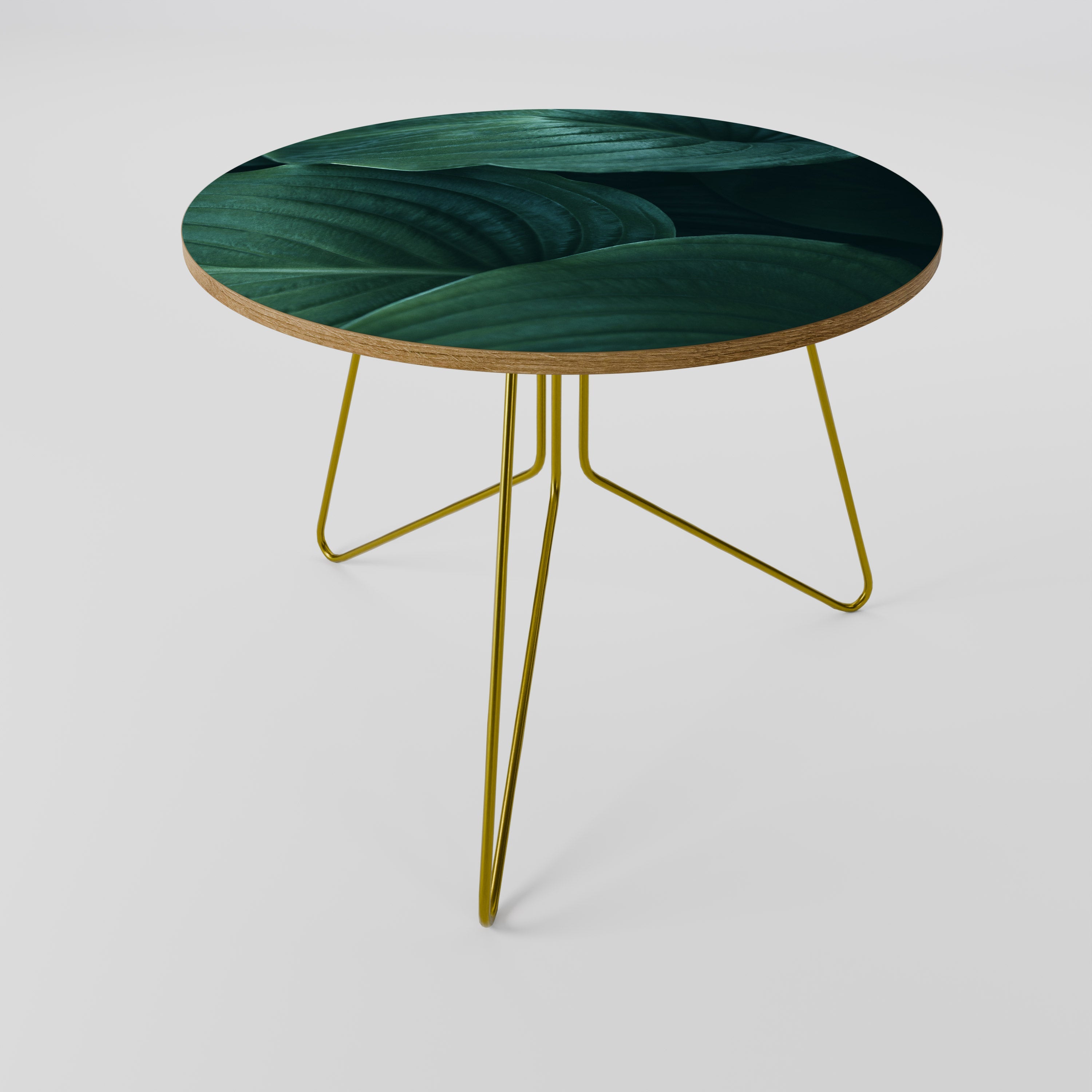 SUBTLE BOTANICAL HUES Coffee Table 69