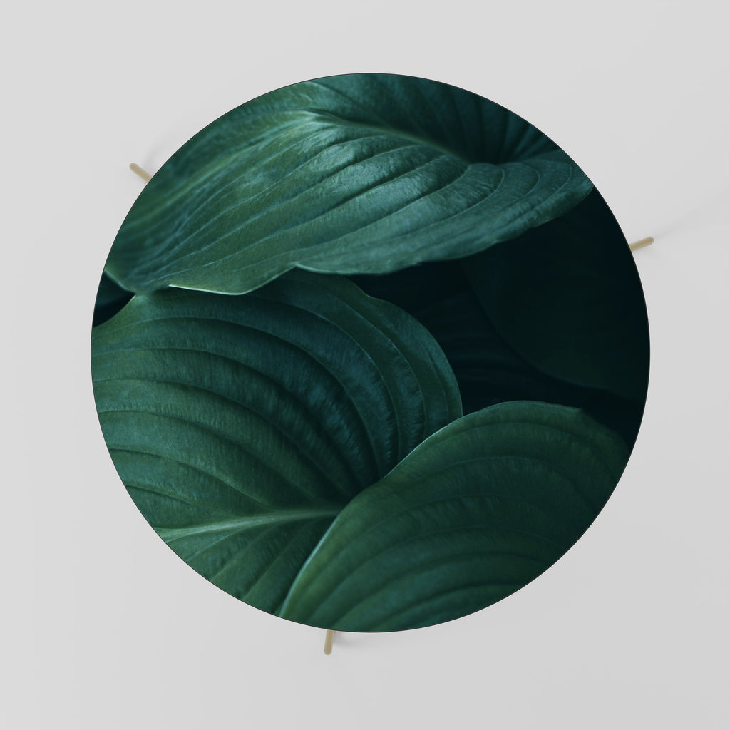 SUBTLE BOTANICAL HUES Coffee Table 69