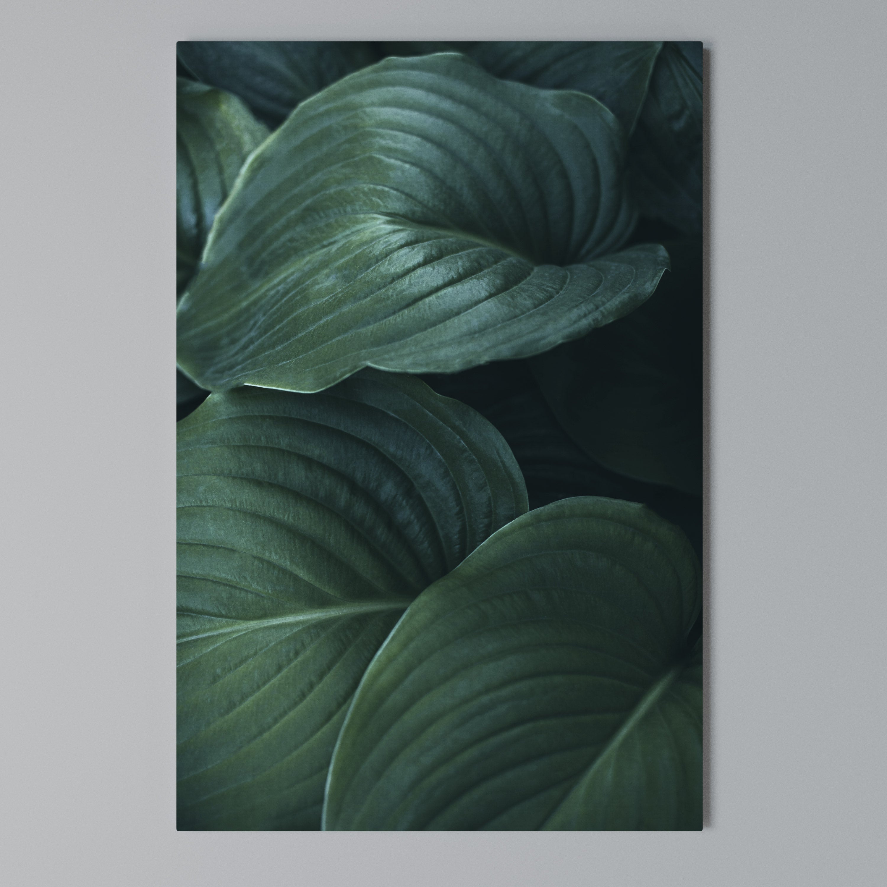 SUBTLE BOTANICAL HUES Quadro em tela vertical