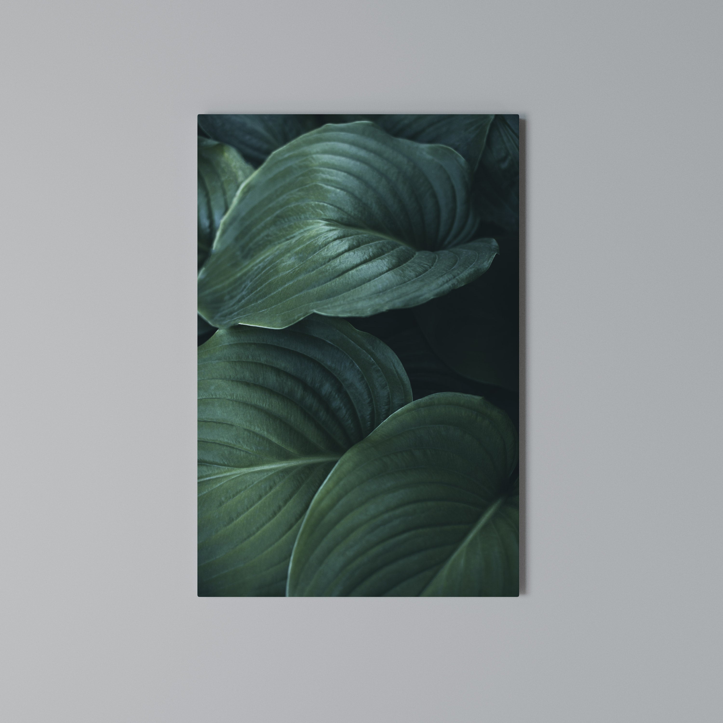 SUBTLE BOTANICAL HUES Quadro em tela vertical