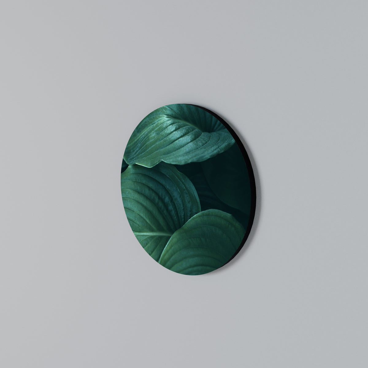 SUBTLE BOTANICAL HUES Arte de Parede Redonda