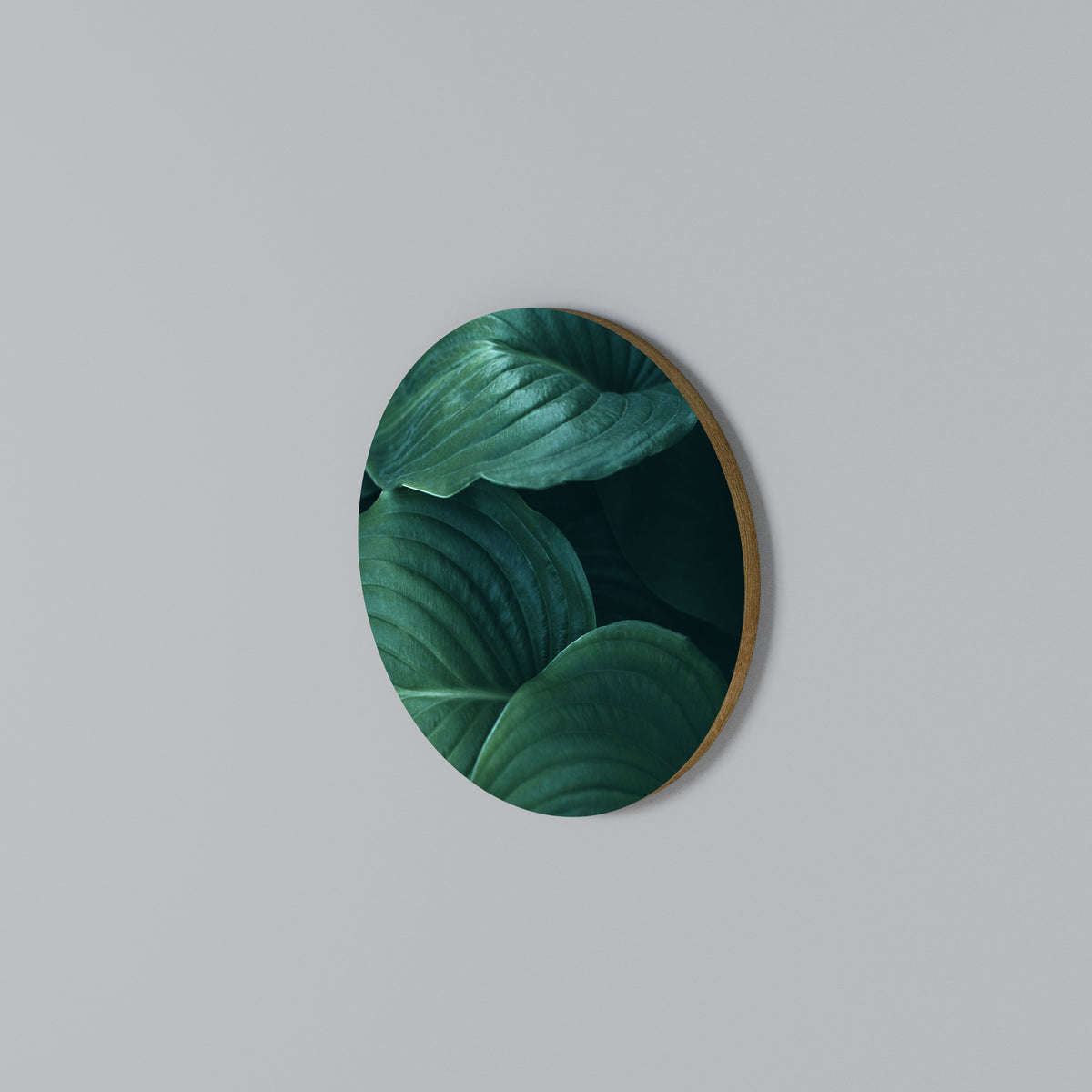 SUBTLE BOTANICAL HUES Arte de Parede Redonda