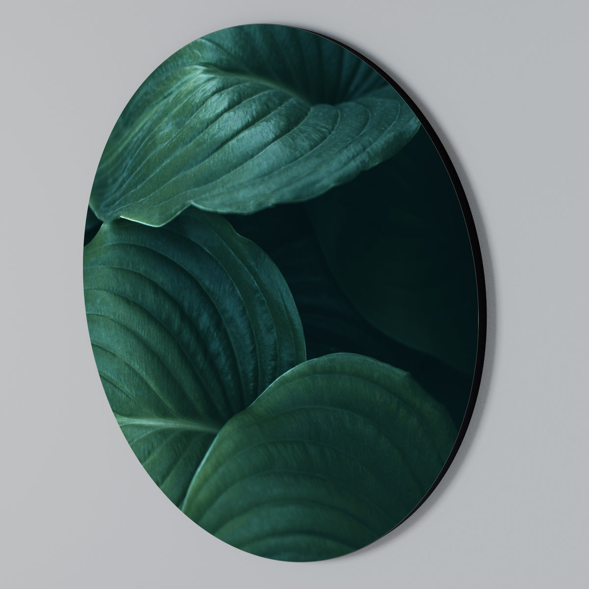 SUBTLE BOTANICAL HUES Arte de Parede Redonda