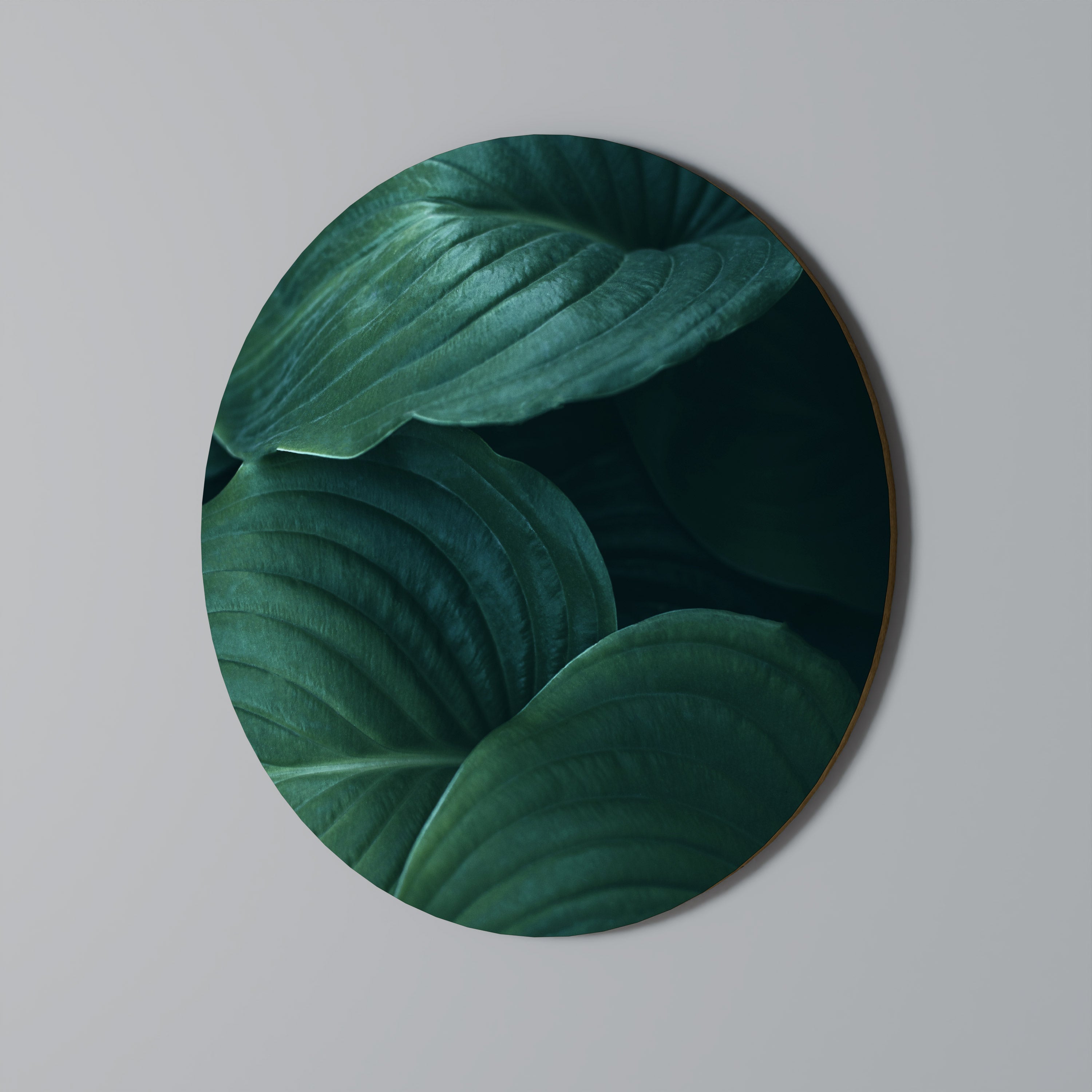 SUBTLE BOTANICAL HUES Quadro Redondo Decorativo