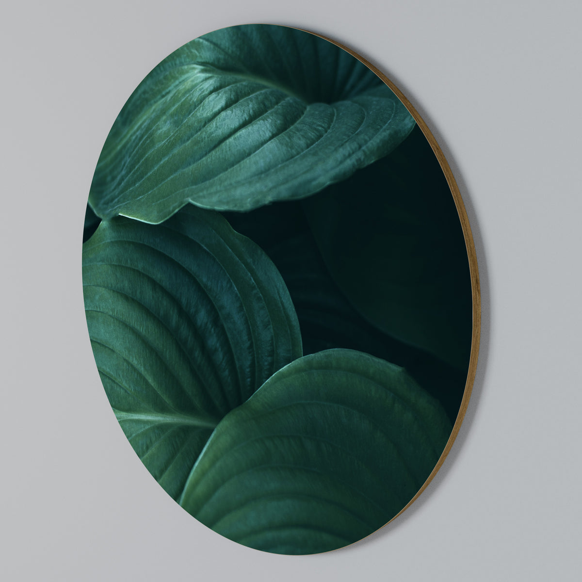 SUBTLE BOTANICAL HUES Arte de Parede Redonda