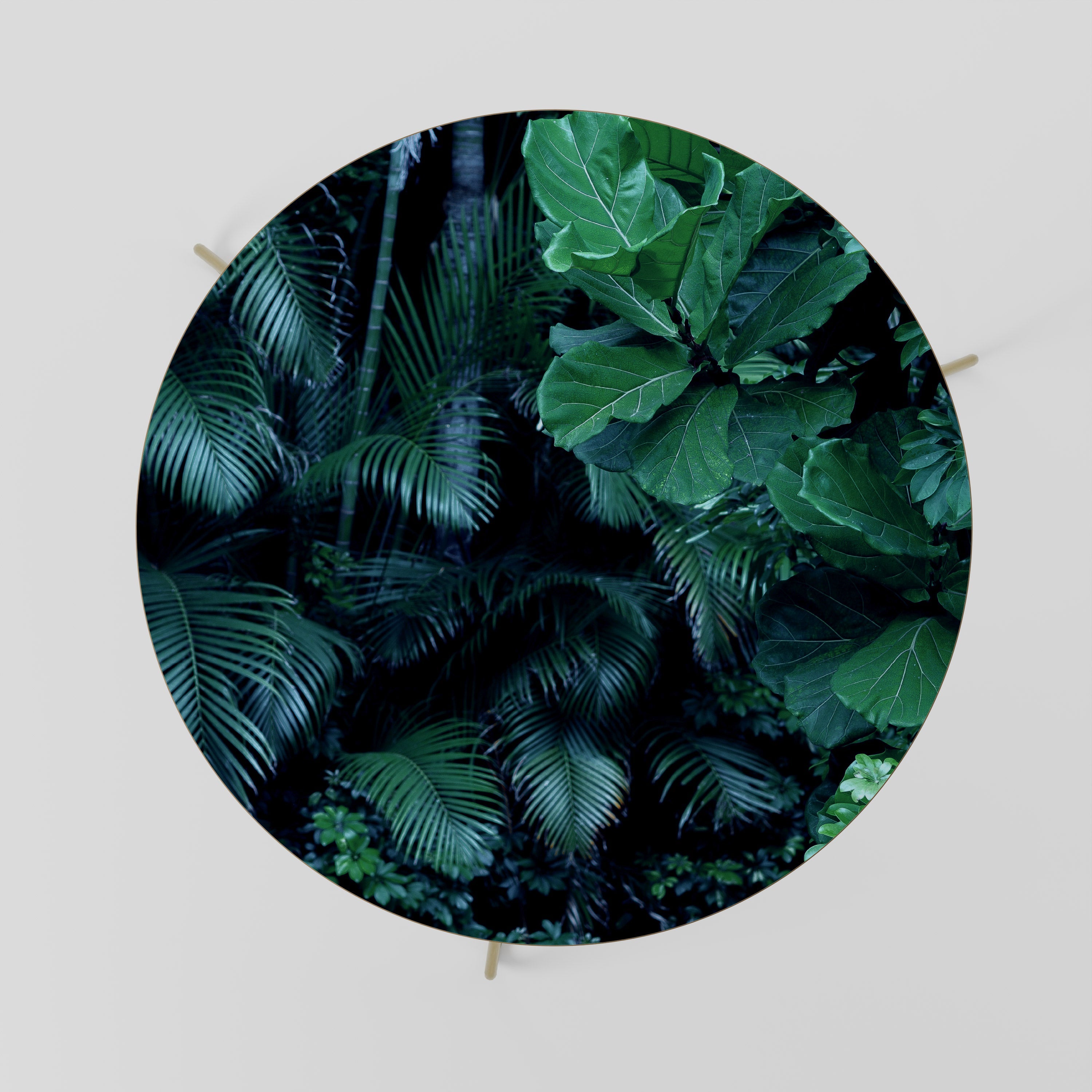 DEEP JUNGLE SERENADE Coffee Table 69