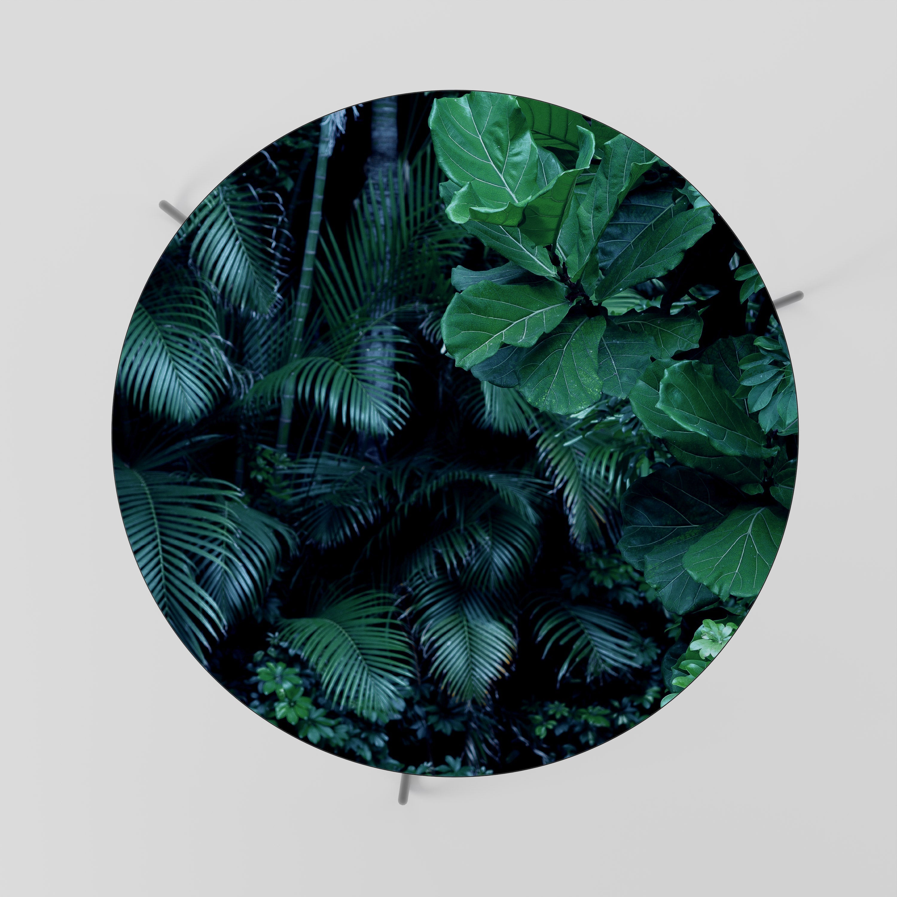 DEEP JUNGLE SERENADE Coffee Table 69