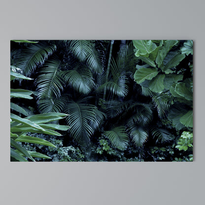 DEEP JUNGLE SERENADE Horizontal Canvas Print