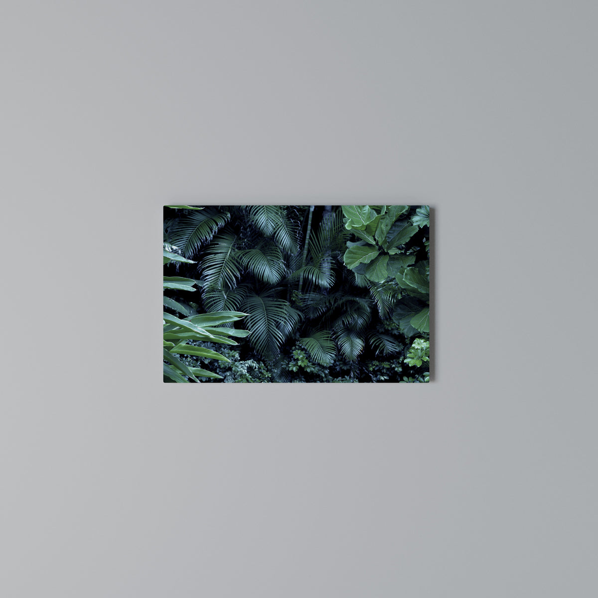 DEEP JUNGLE SERENADE Horizontal Canvas Print