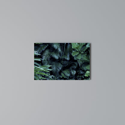 DEEP JUNGLE SERENADE Horizontal Canvas Print