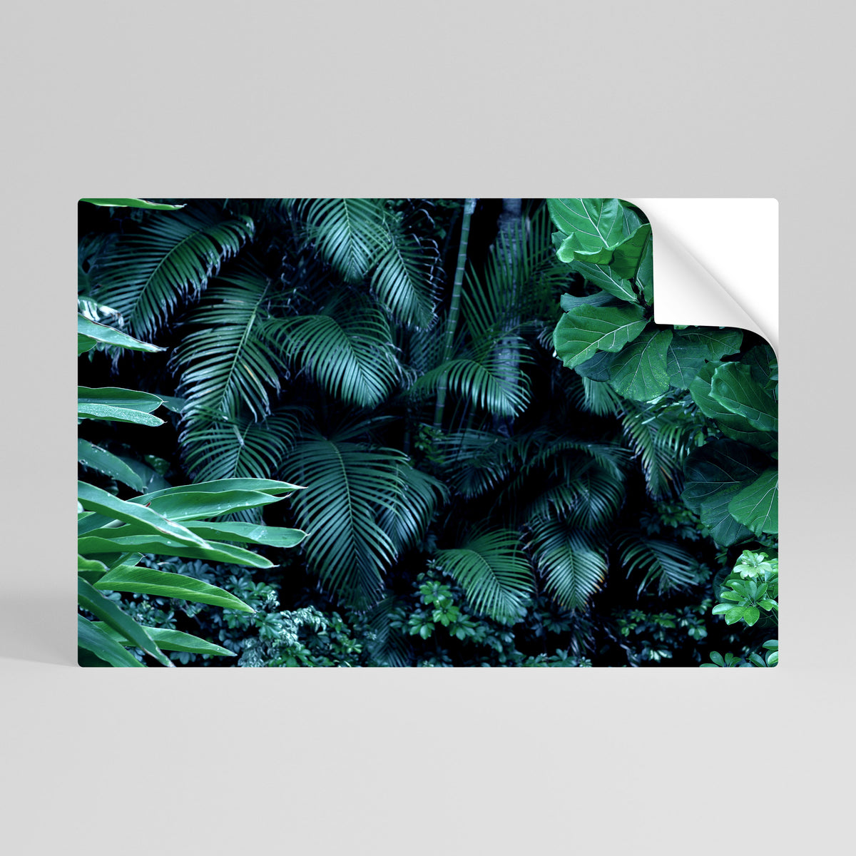 DEEP JUNGLE SERENADE Peel and Stick Horizontal Poster