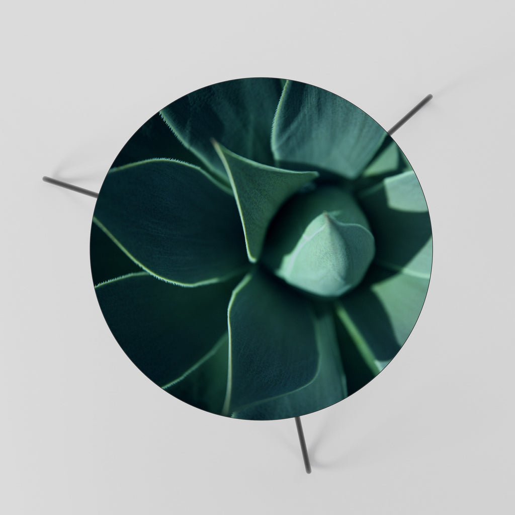 MYSTICAL GREEN WHORL Coffee Table 60