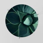 MYSTICAL GREEN WHORL Coffee Table 69