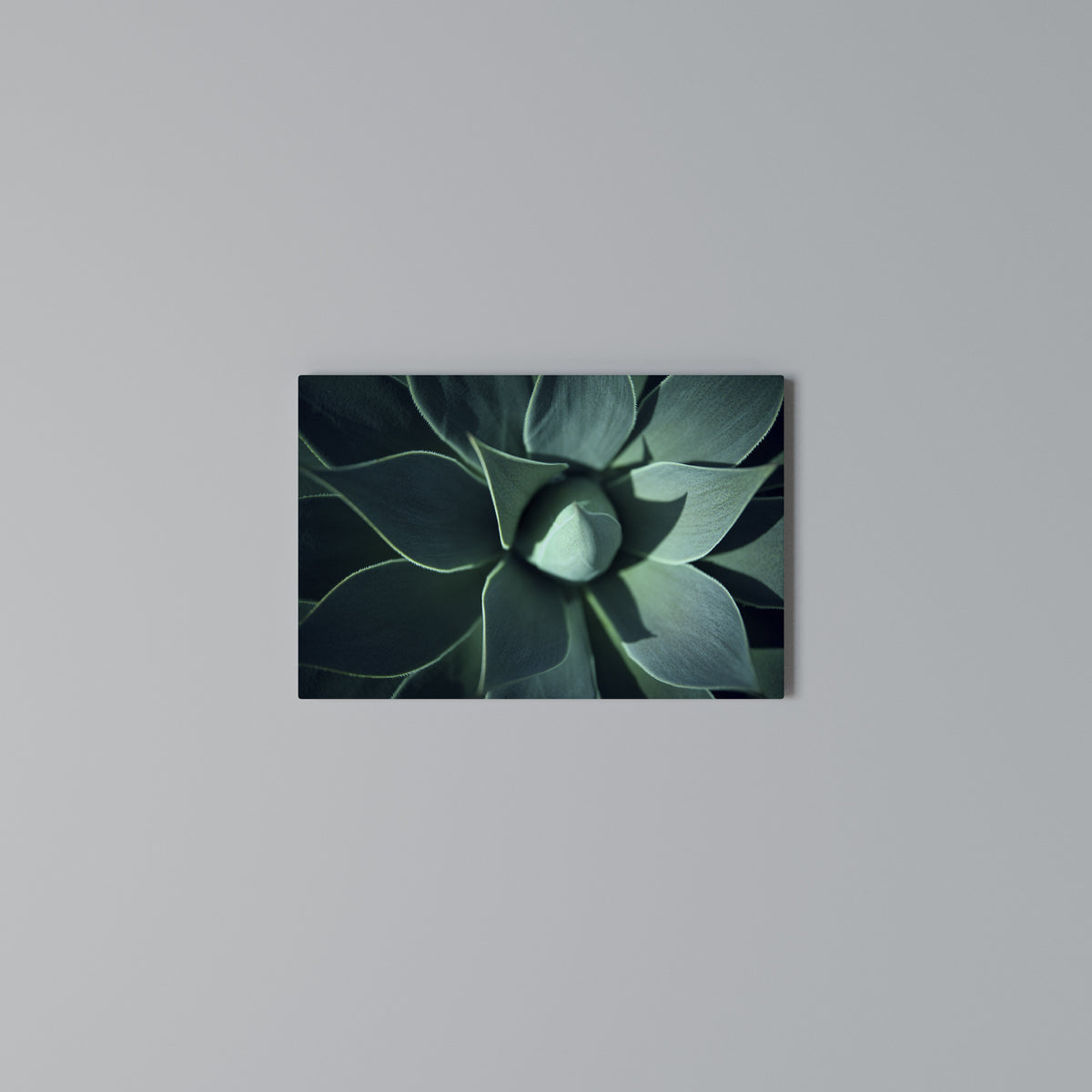 MYSTICAL GREEN WHORL Horizontal Canvas Print