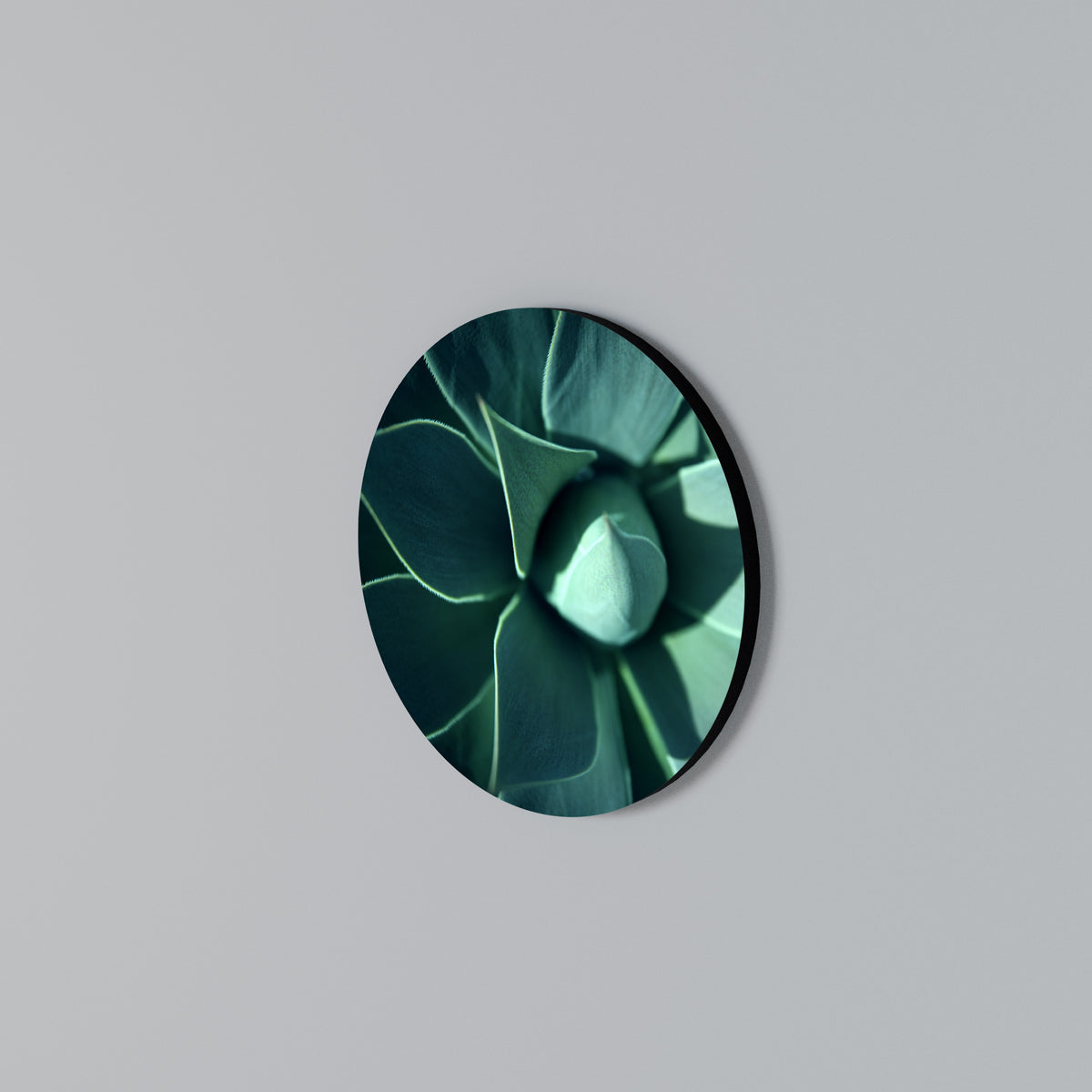 MYSTICAL GREEN WHORL Arte de Parede Redonda