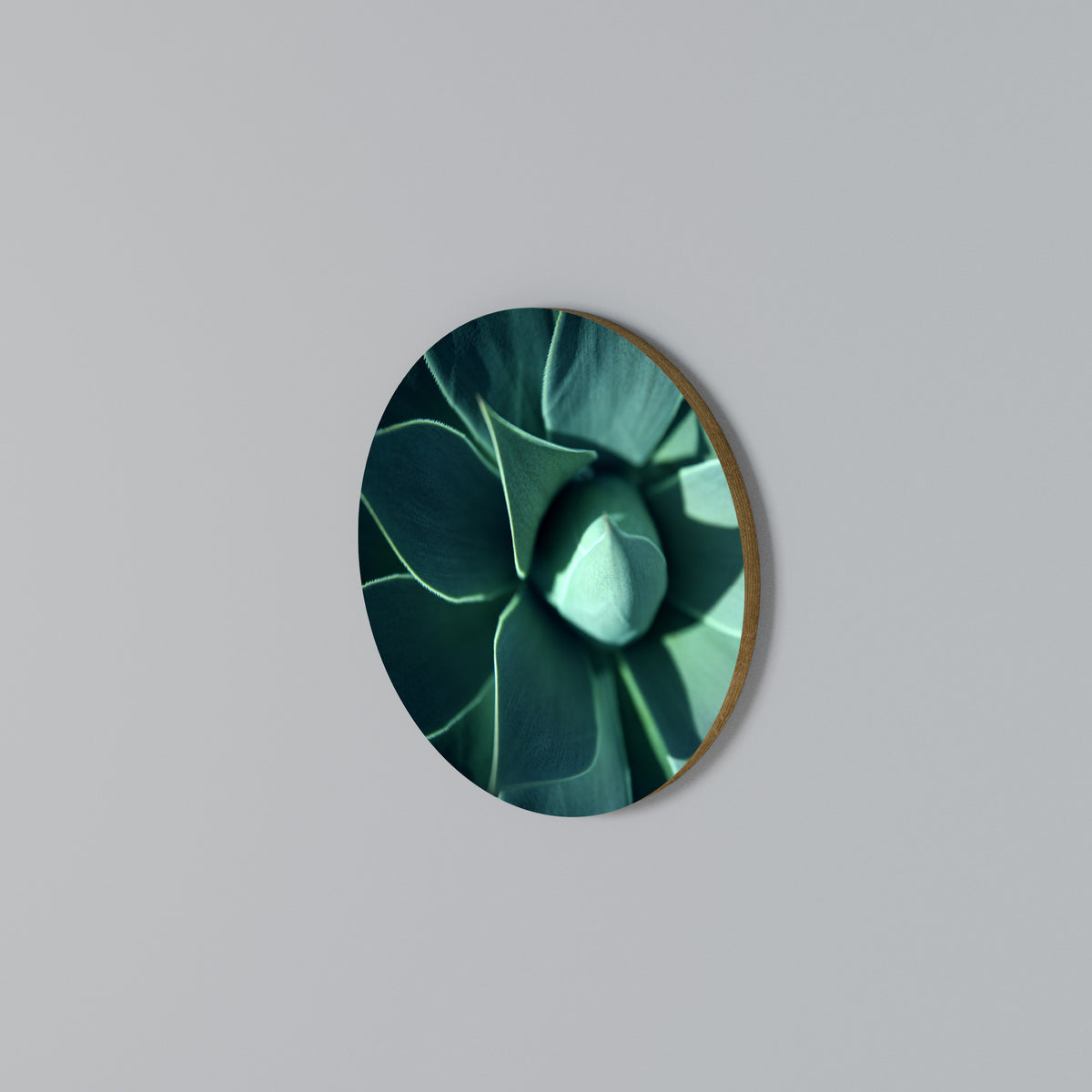 MYSTICAL GREEN WHORL Arte de Parede Redonda