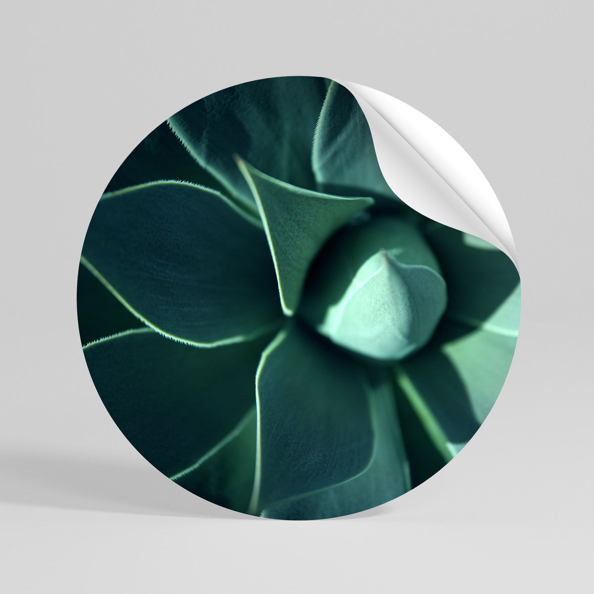 MYSTICAL GREEN WHORL Autocolante Redondo Removível
