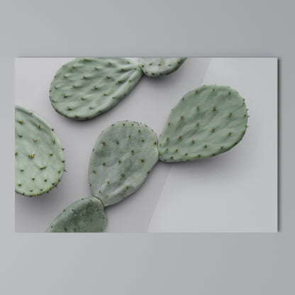 CACTUS DREAMSCAPE Horizontal Canvas Print