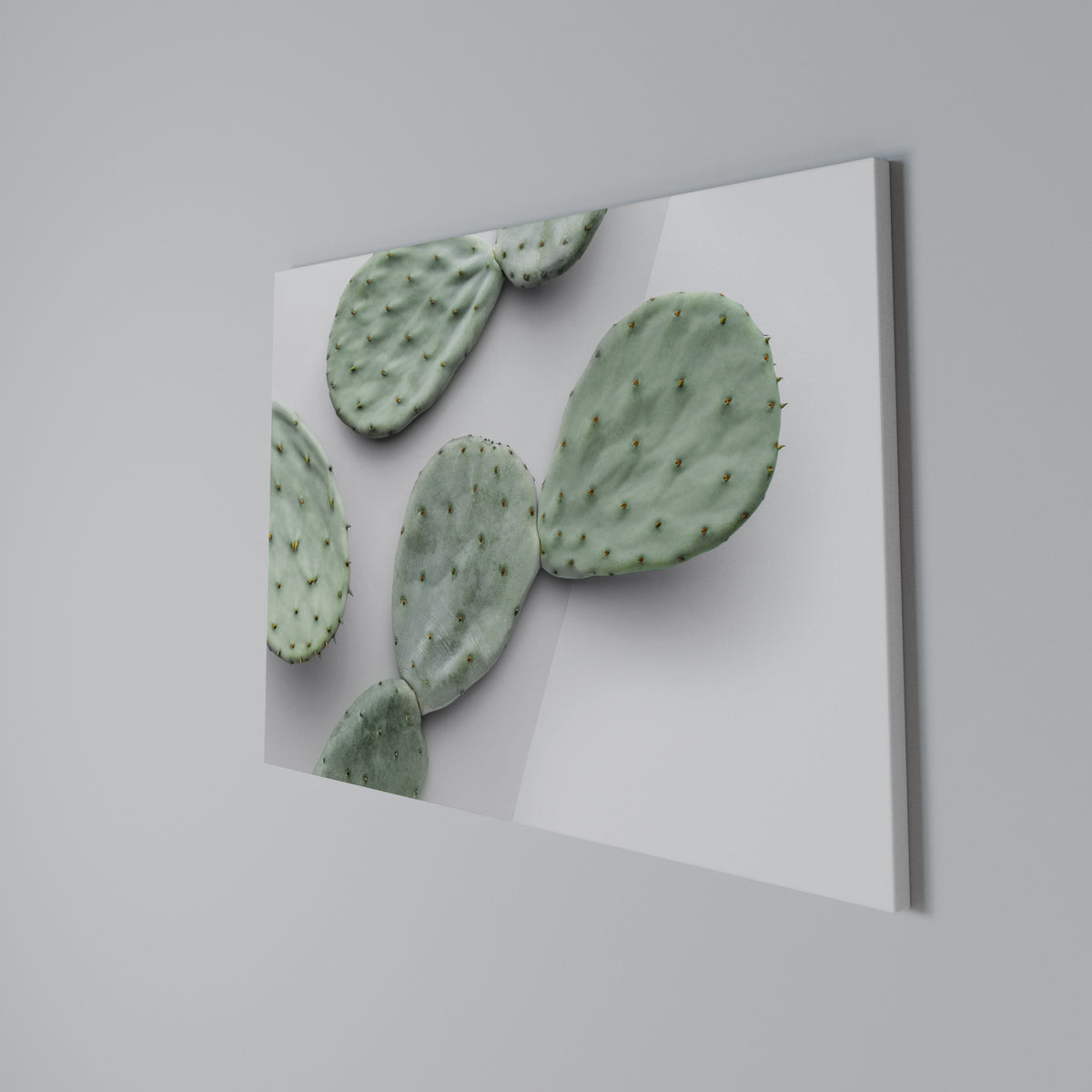 CACTUS DREAMSCAPE Horizontal Canvas Print