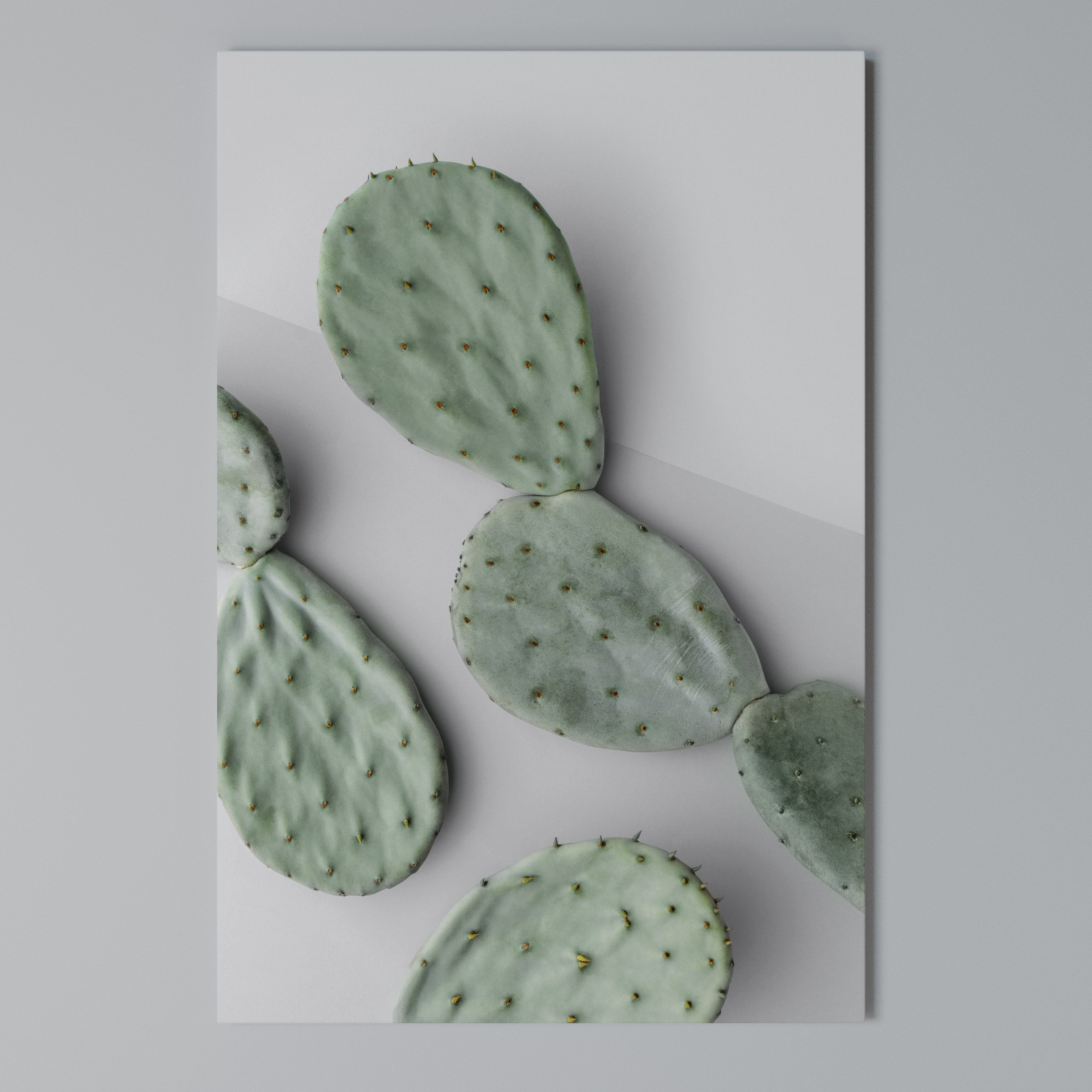 CACTUS DREAMSCAPE Quadro em tela vertical