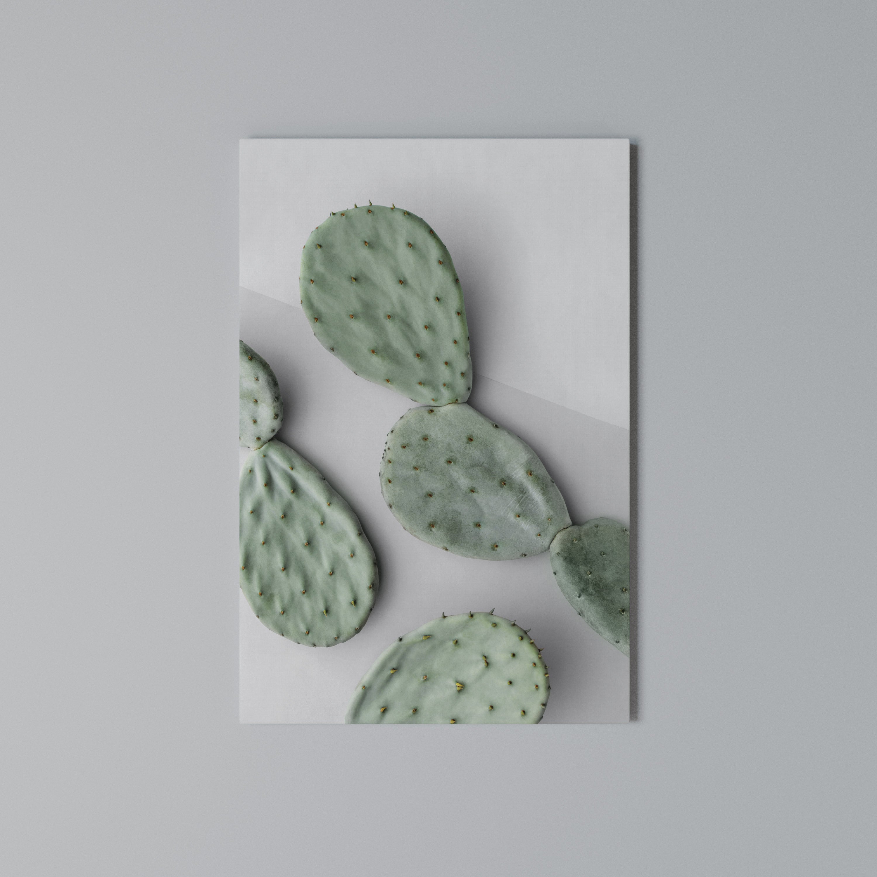 CACTUS DREAMSCAPE Quadro em tela vertical