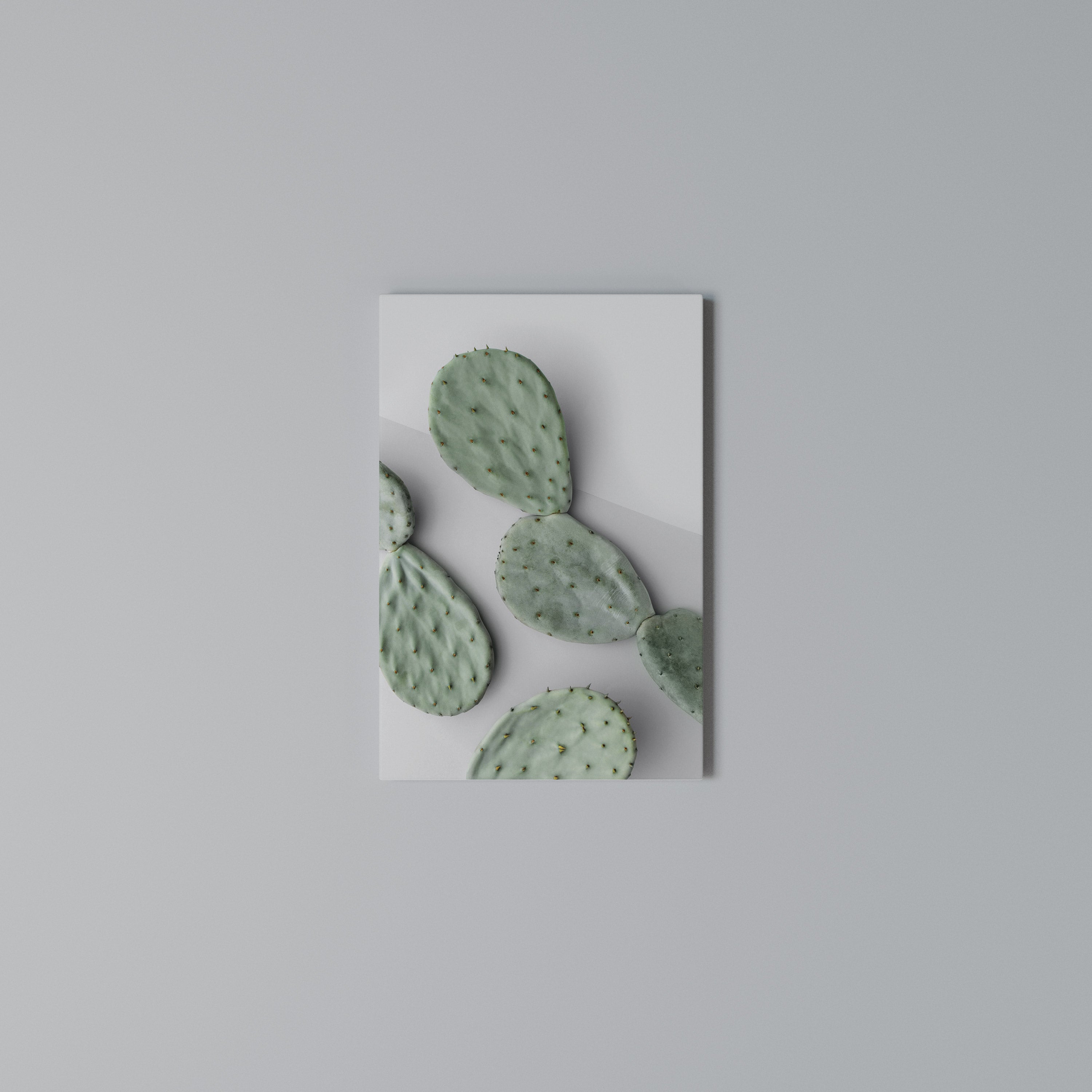 CACTUS DREAMSCAPE Quadro em tela vertical