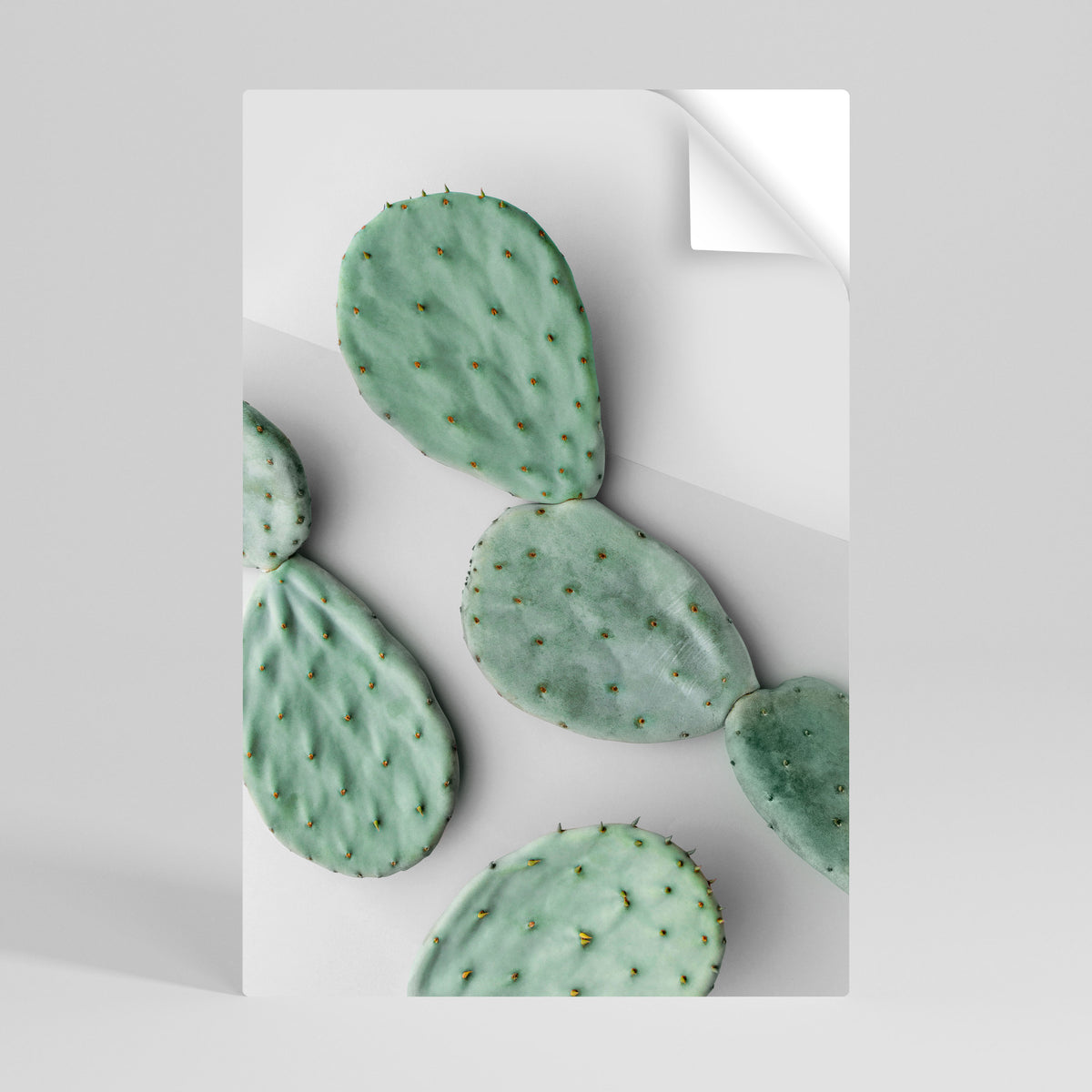 CACTUS DREAMSCAPE Póster Autocolante Vertical