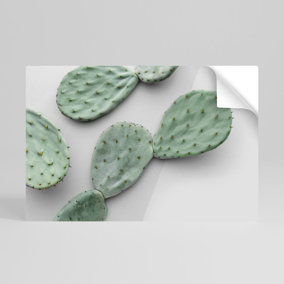 CACTUS DREAMSCAPE Peel and Stick Horizontal Poster
