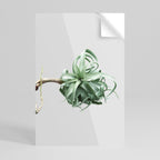 TANGLE OF NATURE Poster Vertical Autocolante