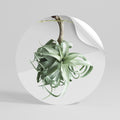 TANGLE OF NATURE Peel and Stick Round Sticker