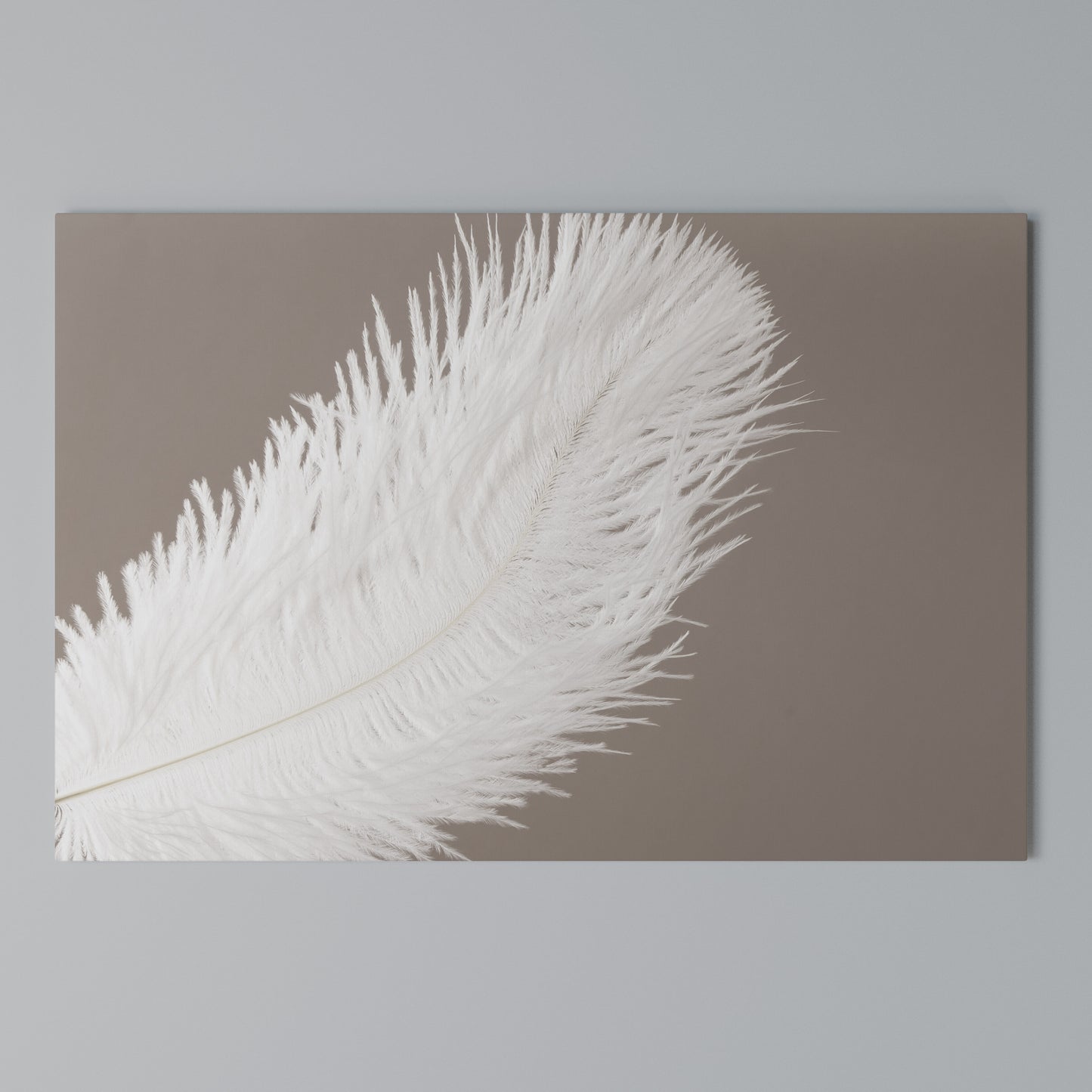 SOFT SERENITY Horizontal Canvas Print