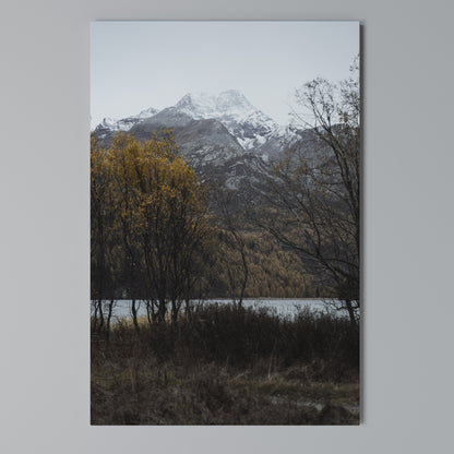 AUTUMN'S SILENT EMBRACE Quadro em tela vertical